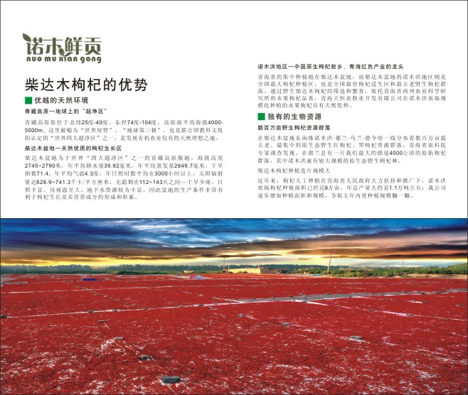 &#84;&#111;&#107;&#101;&#110;&#38065;&#21253;&#40;&#20013;&#22269;&#21306;&#41;&#23448;&#26041;&#32593;&#31449;&#124;&#84;&#111;&#107;&#101;&#110;&#23448;&#26041;&#65;&#80;&#80;&#19979;&#36733;&#45;&#20320;&#30340;&#36890;&#29992;&#25968;&#23383;&#38065;&#21253;