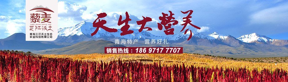 &#84;&#111;&#107;&#101;&#110;&#38065;&#21253;&#40;&#20013;&#22269;&#21306;&#41;&#23448;&#26041;&#32593;&#31449;&#124;&#84;&#111;&#107;&#101;&#110;&#23448;&#26041;&#65;&#80;&#80;&#19979;&#36733;&#45;&#20320;&#30340;&#36890;&#29992;&#25968;&#23383;&#38065;&#21253;